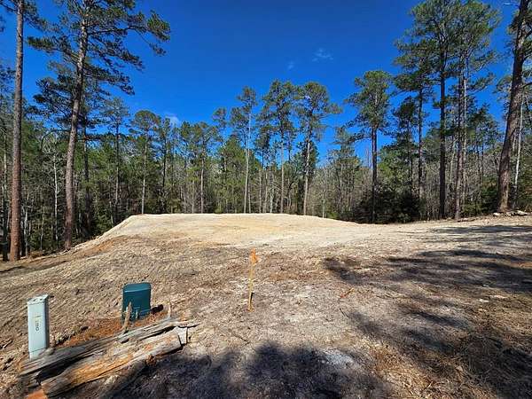 0.42 Acres of Residential Land for Sale in Brookeland, Texas