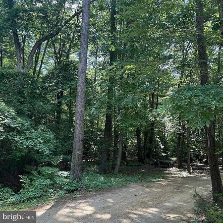 12 Acres of Land for Sale in Valley Lee, Maryland