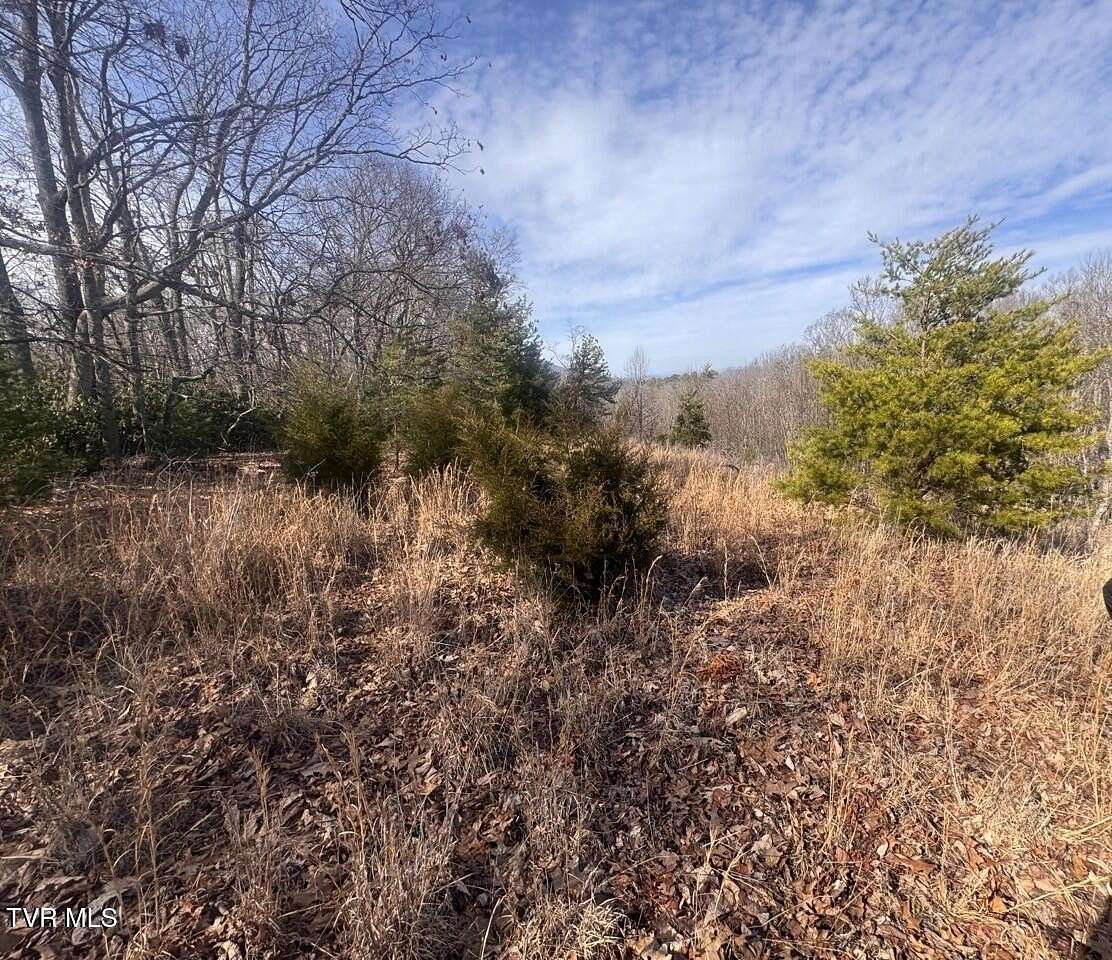 10.6 Acres of Land for Sale in Unicoi, Tennessee