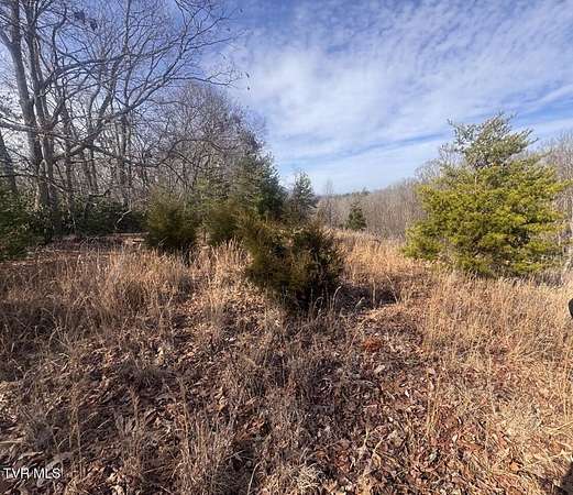 10.6 Acres of Land for Sale in Unicoi, Tennessee
