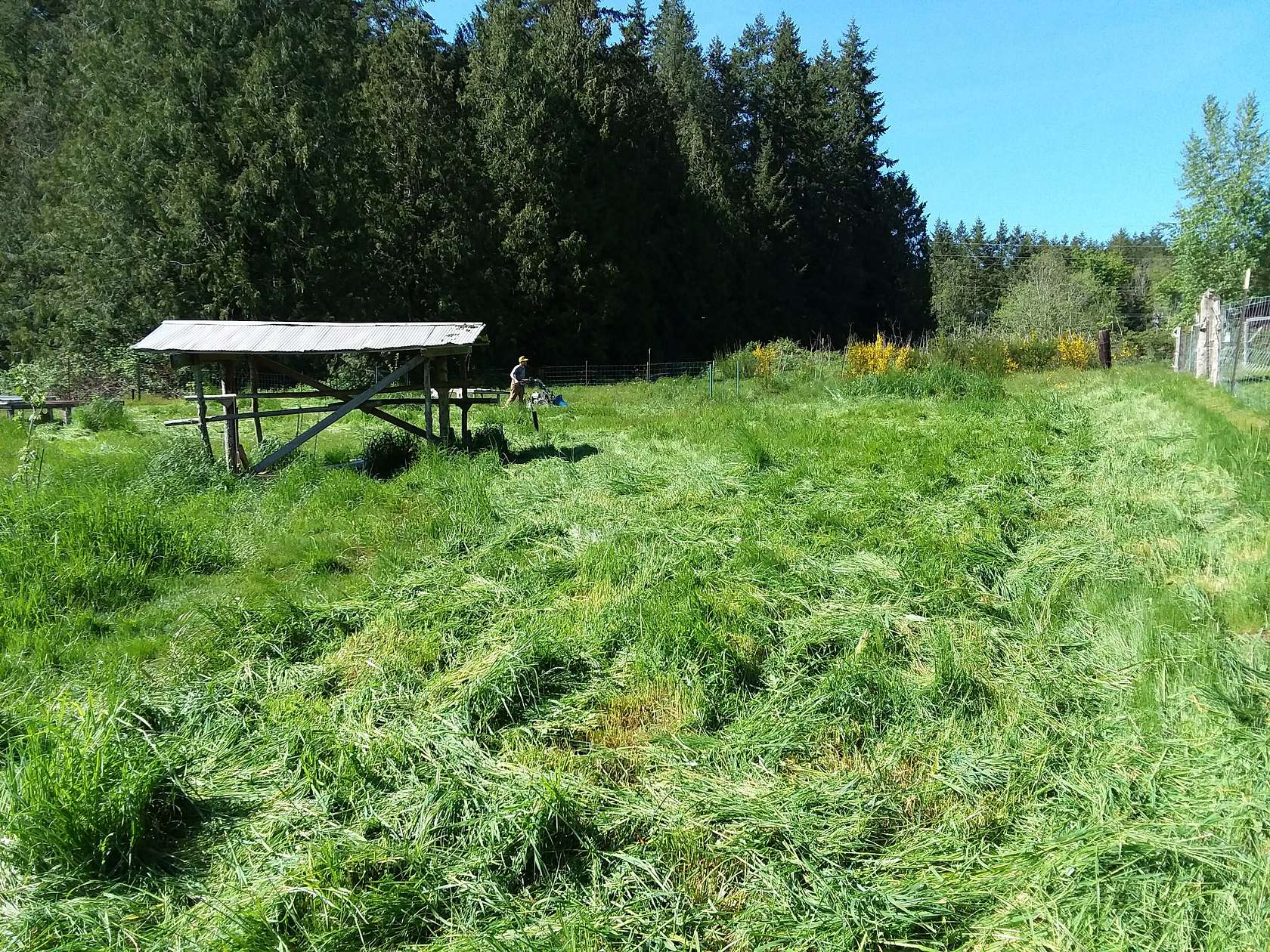 4.89 Acres of Improved Agricultural Land for Sale in Poulsbo, Washington