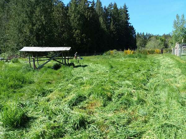 4.89 Acres of Improved Agricultural Land for Sale in Poulsbo, Washington
