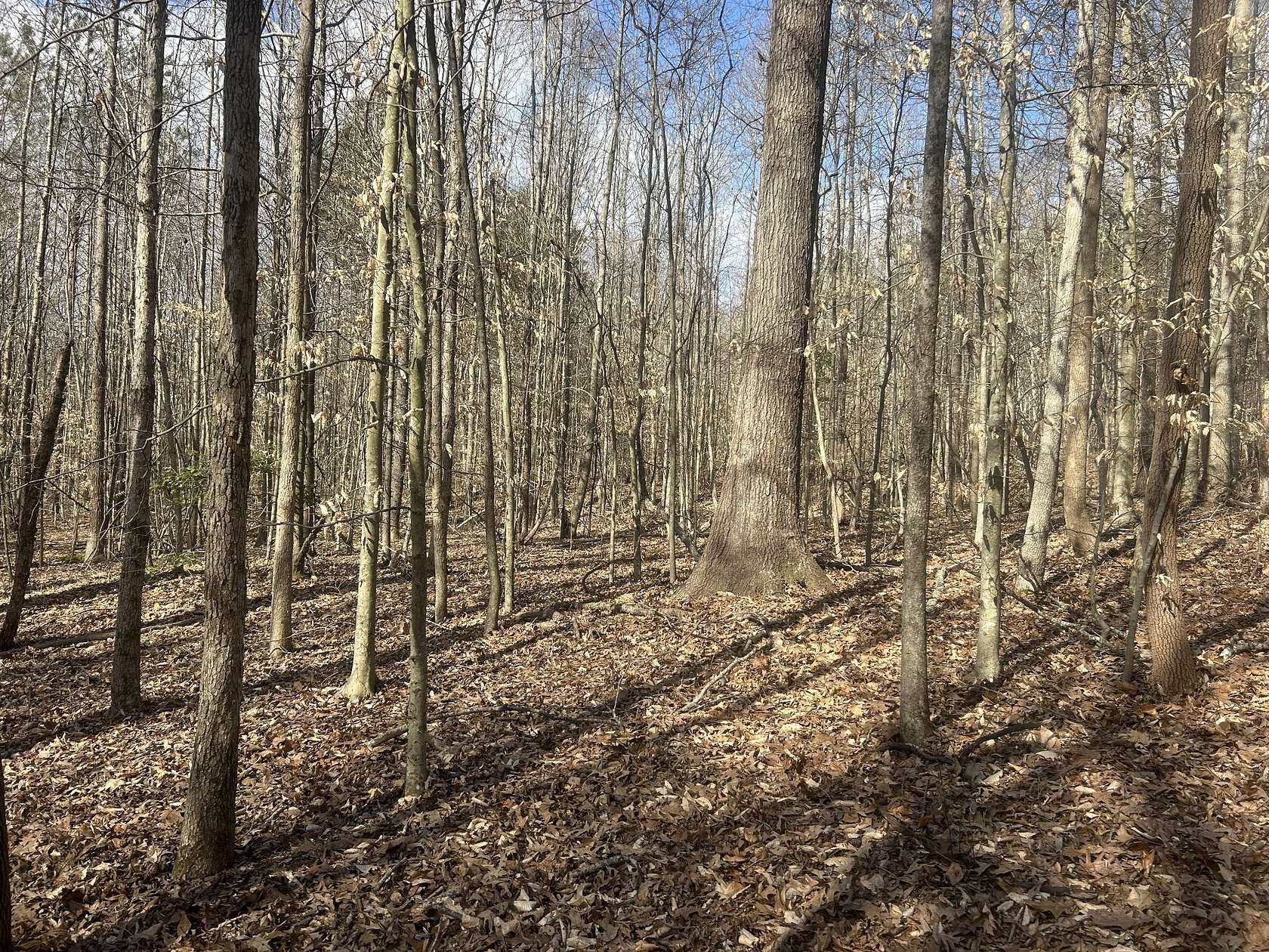 6.24 Acres of Residential Land for Sale in Camden, Tennessee