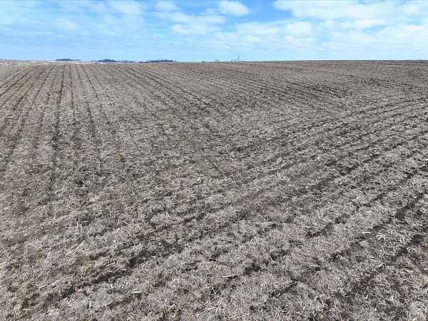 171 Acres of Land for Auction in Albion, Iowa