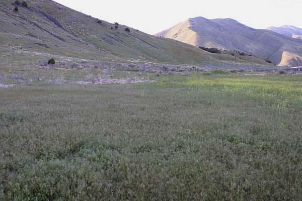 10 Acres of Commercial Land for Sale in Pocatello, Idaho