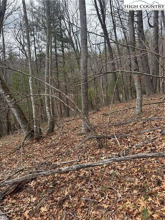 1 Acre of Residential Land for Sale in Laurel Springs, North Carolina