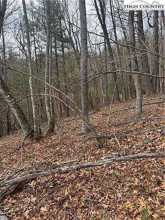 1 Acre of Residential Land for Sale in Laurel Springs, North Carolina