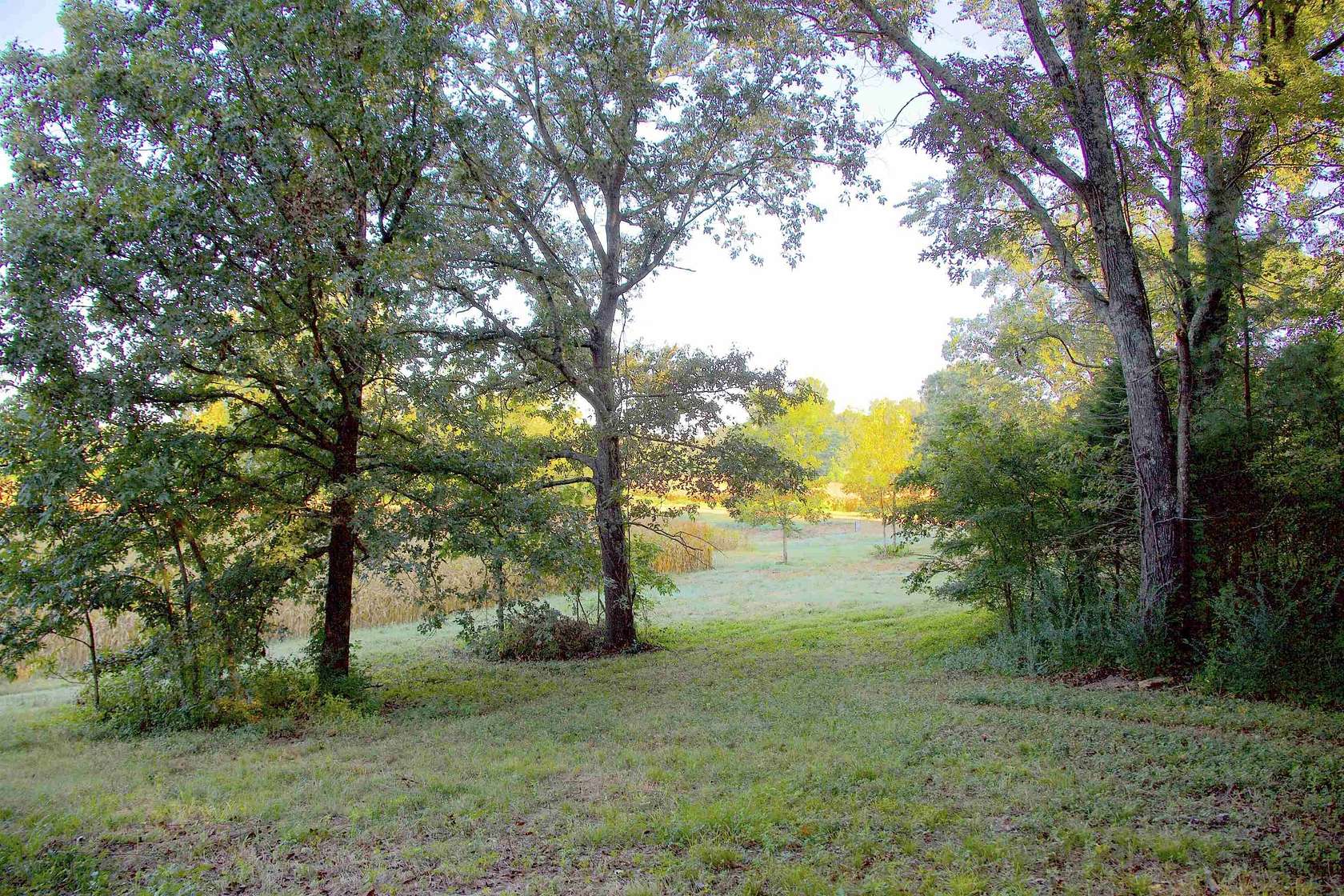 17.7 Acres of Land for Sale in Somerville, Tennessee