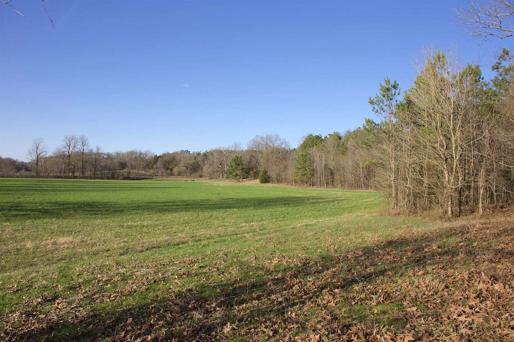 17.7 Acres of Land for Sale in Somerville, Tennessee