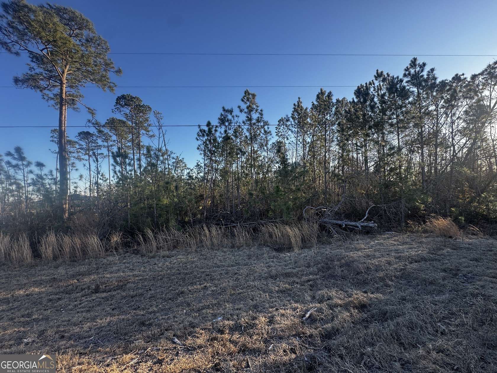 4.4 Acres of Residential Land for Sale in Denton, Georgia