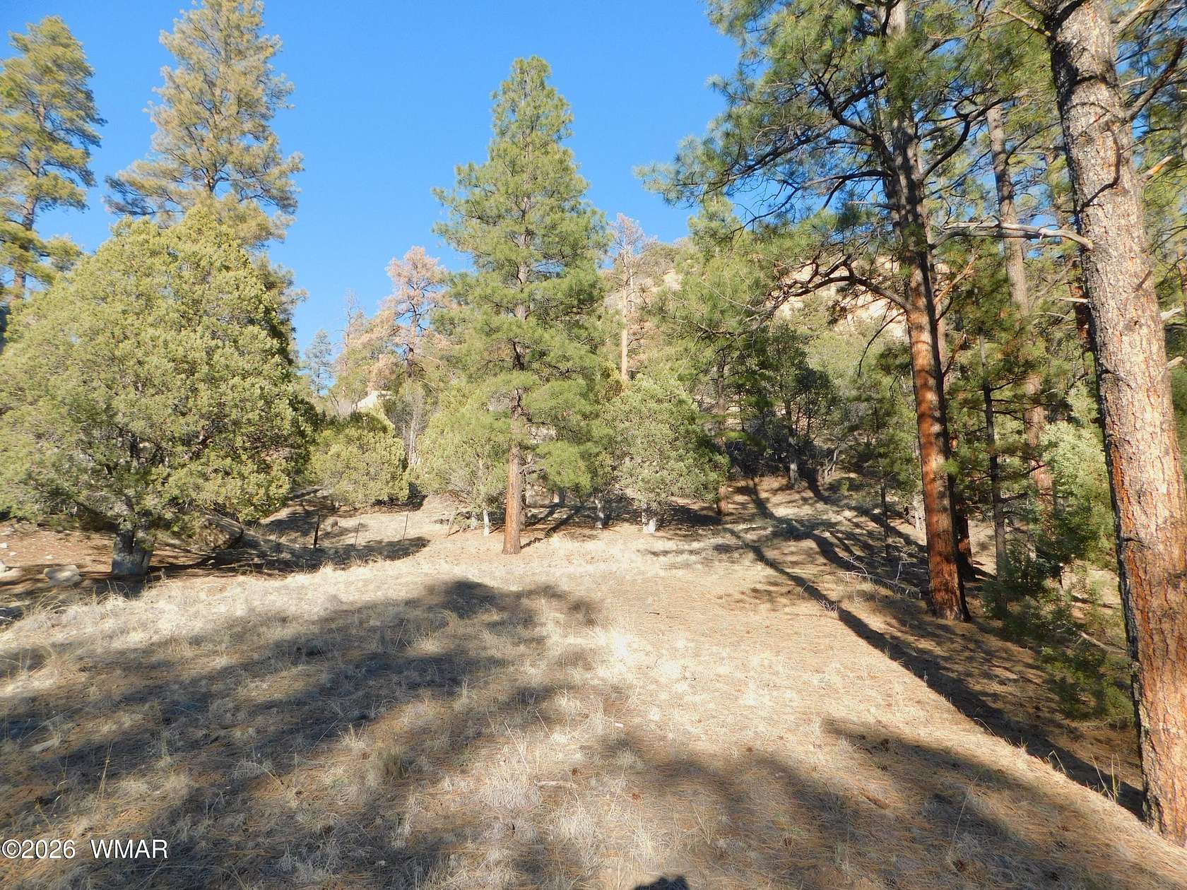 1.75 Acres of Residential Land for Sale in Nutrioso, Arizona