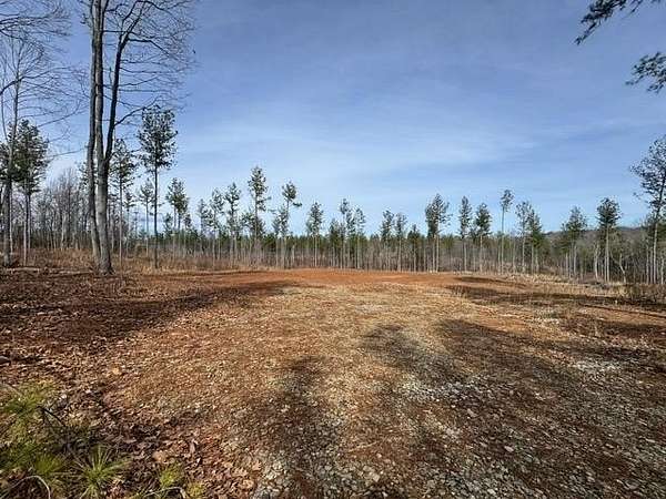 10 Acres of Land for Sale in Jetersville, Virginia