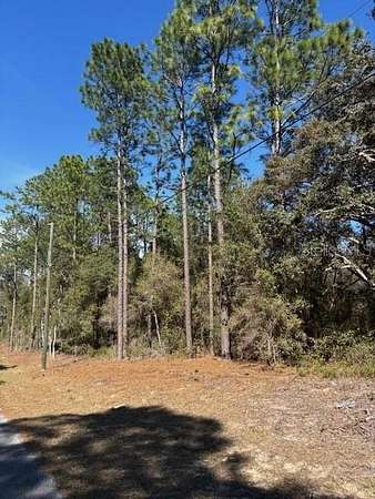 0.95 Acres of Residential Land for Sale in Dunnellon, Florida