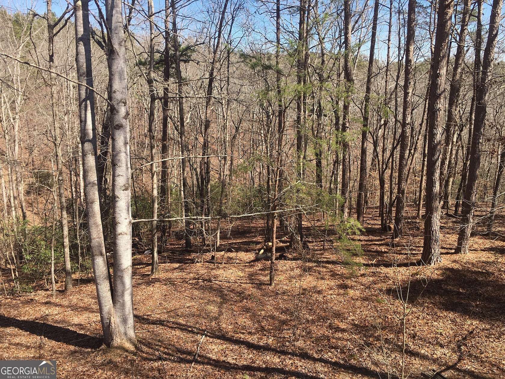 5.18 Acres of Residential Land for Sale in Ball Ground, Georgia