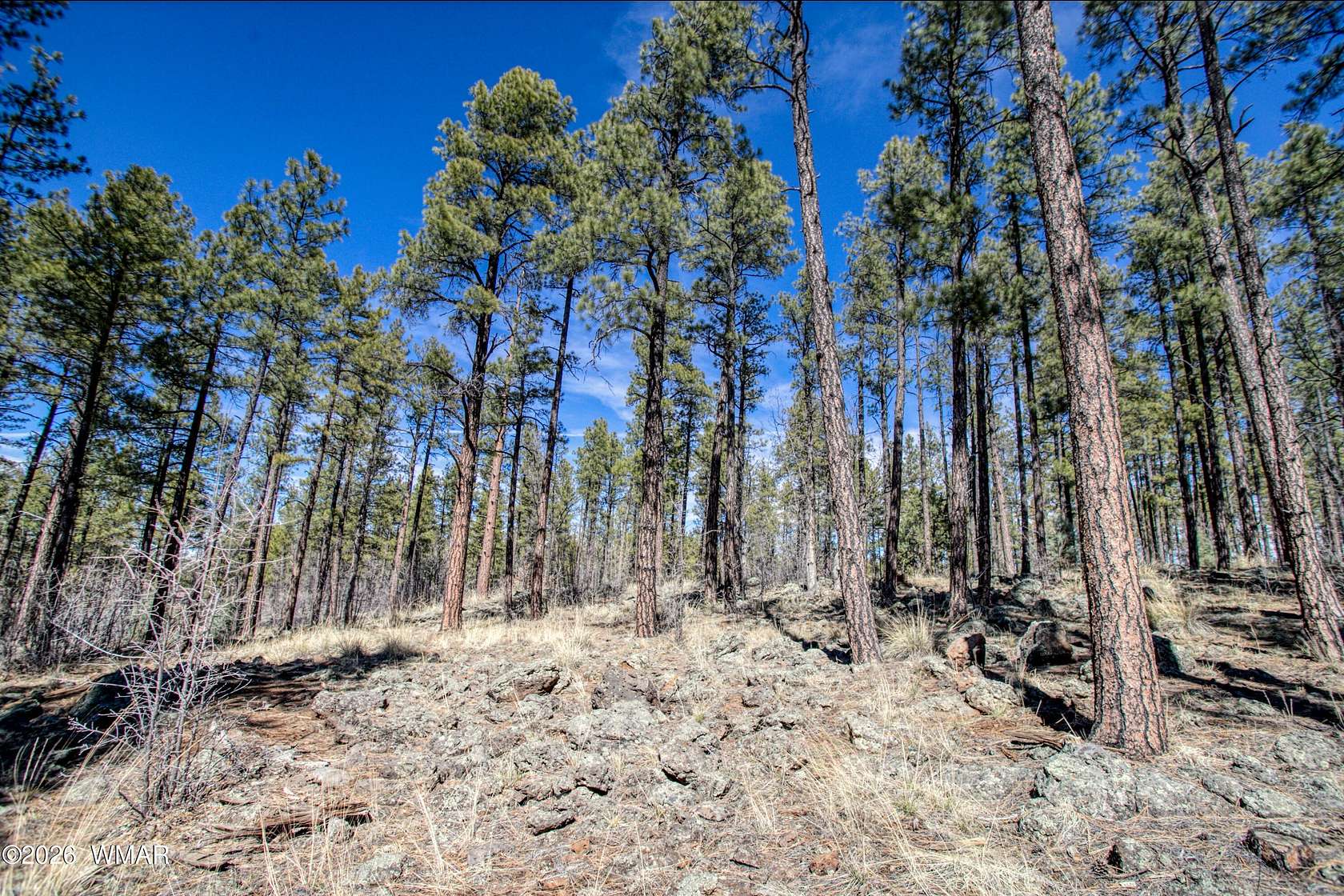 4 Acres of Residential Land for Sale in Pinetop, Arizona