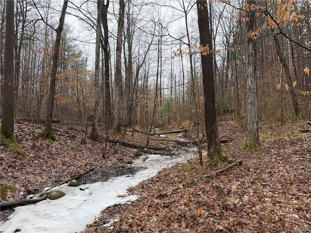 17.4 Acres of Land for Sale in Dundee, New York