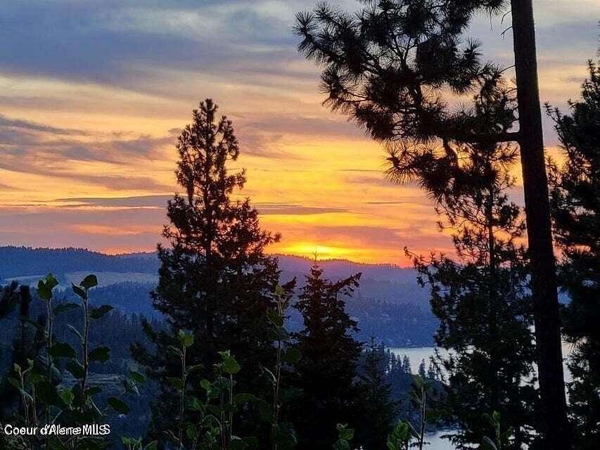 59.9 Acres of Land for Sale in Harrison, Idaho