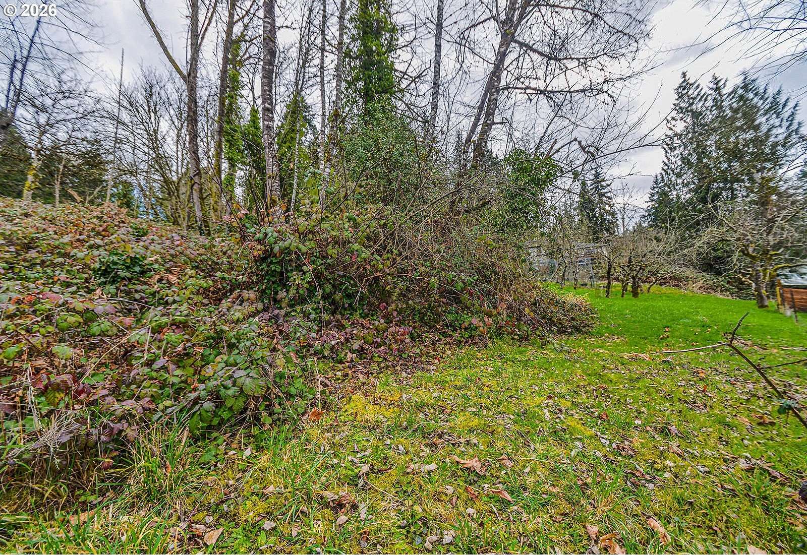 0.17 Acres of Residential Land for Sale in Rainier, Oregon