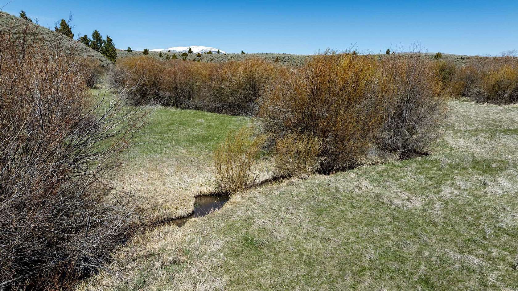 20.1 Acres of Recreational & Residential Land for Sale in White Sulphur Springs, Montana