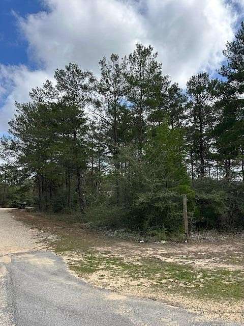 0.23 Acres of Residential Land for Sale in Mossy Head, Florida