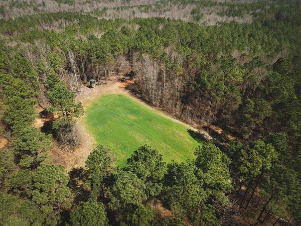 134 Acres of Recreational & Residential Land for Sale in Kennedy, Alabama