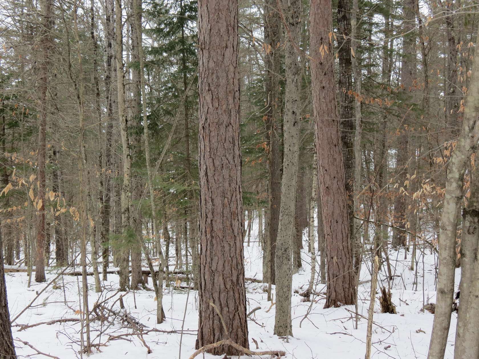 1.1 Acres of Residential Land for Sale in Jay, New York