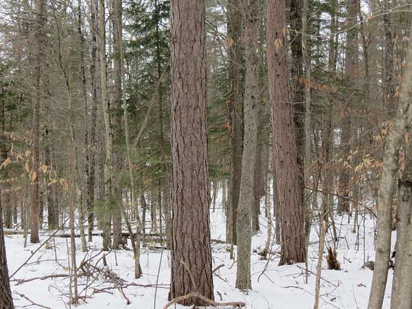 1.1 Acres of Residential Land for Sale in Jay, New York