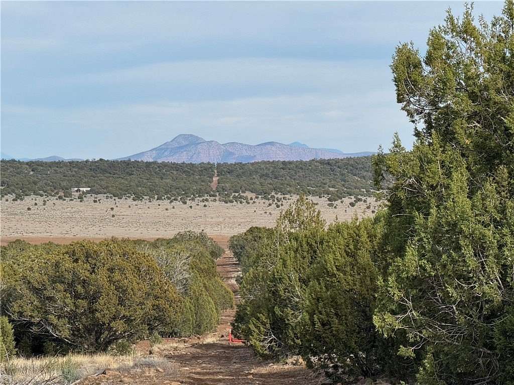 119 Acres of Recreational Land for Sale in Seligman, Arizona