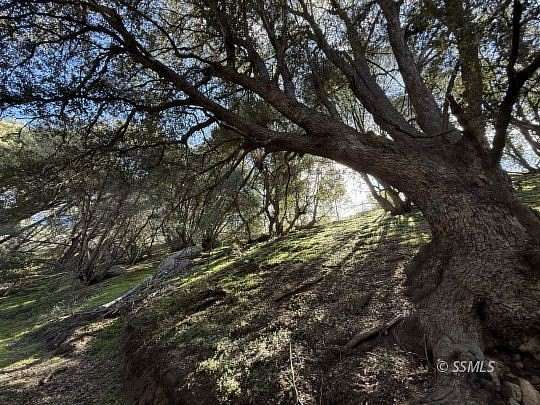 160 Acres of Recreational Land for Sale in Caliente, California