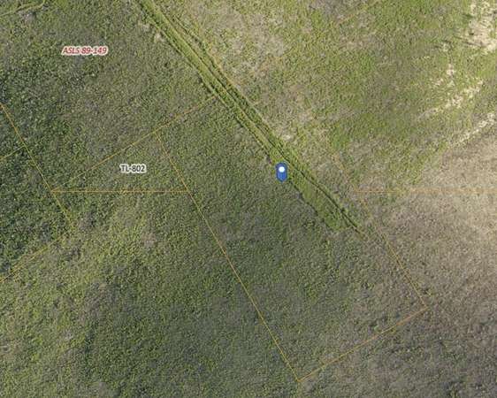 20 Acres of Recreational Land for Sale in Fairbanks, Alaska