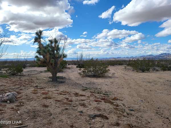 40 Acres of Recreational & Residential Land for Sale in Yucca, Arizona