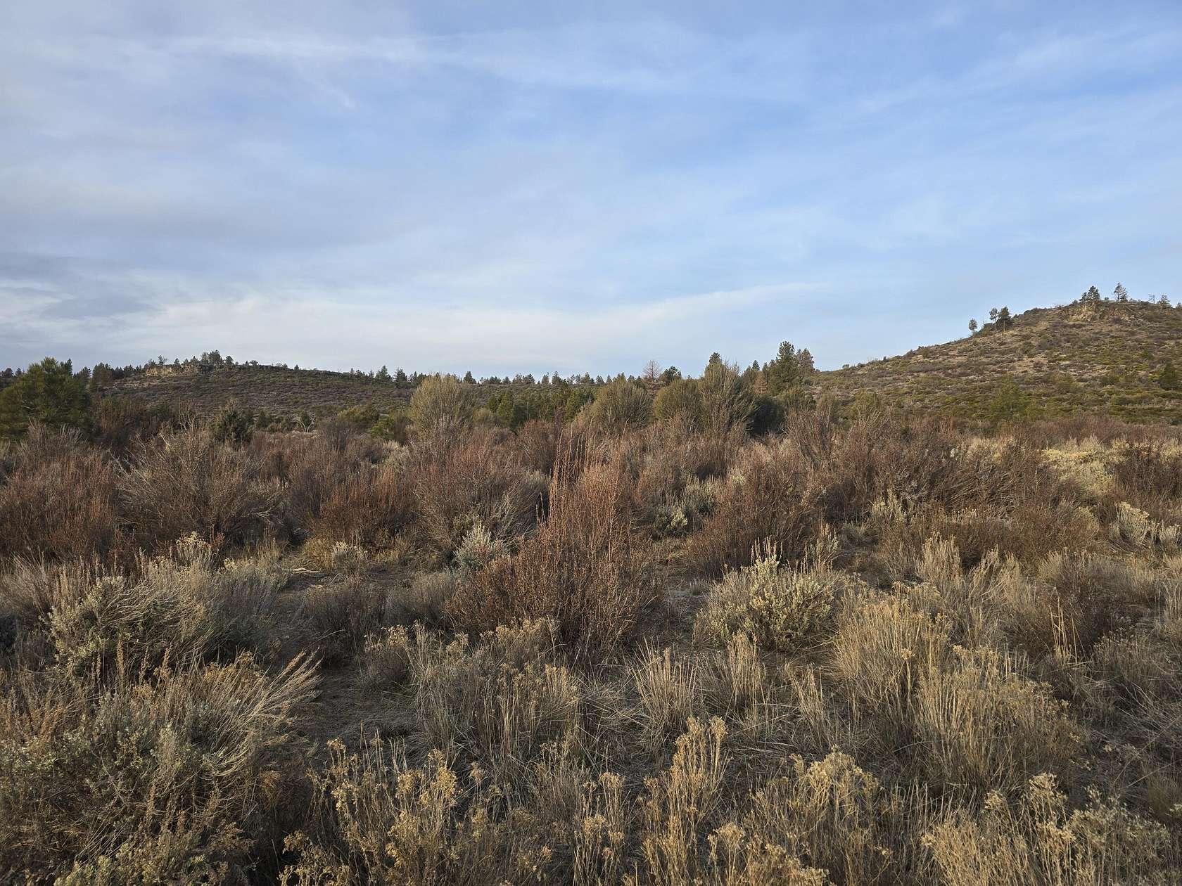 100 Acres of Recreational Land for Sale in Sprague River, Oregon