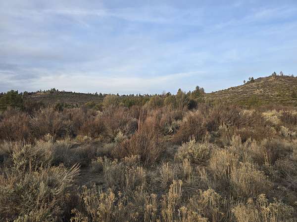 100 Acres of Recreational Land for Sale in Sprague River, Oregon