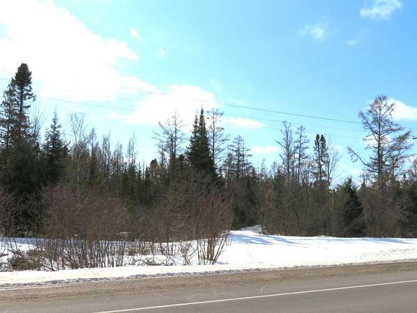 41.5 Acres of Recreational Land for Sale in Rhinelander, Wisconsin