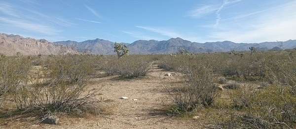 40 Acres of Recreational & Residential Land for Sale in Yucca, Arizona