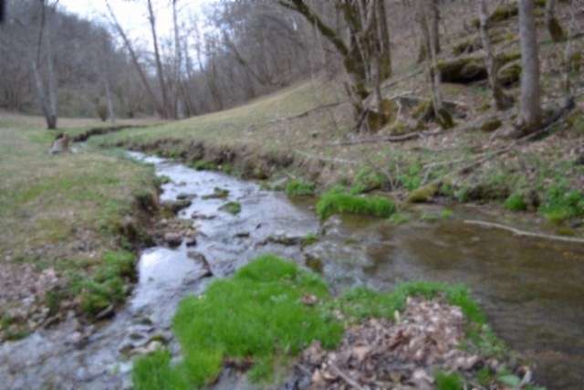 214 Acres of Land for Sale in Whitleyville, Tennessee