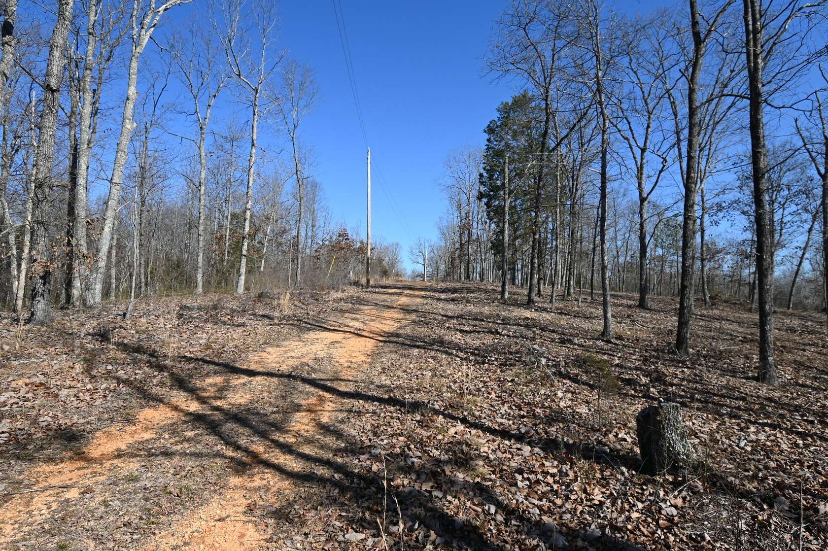 3 Acres of Residential Land for Sale in Linden, Tennessee