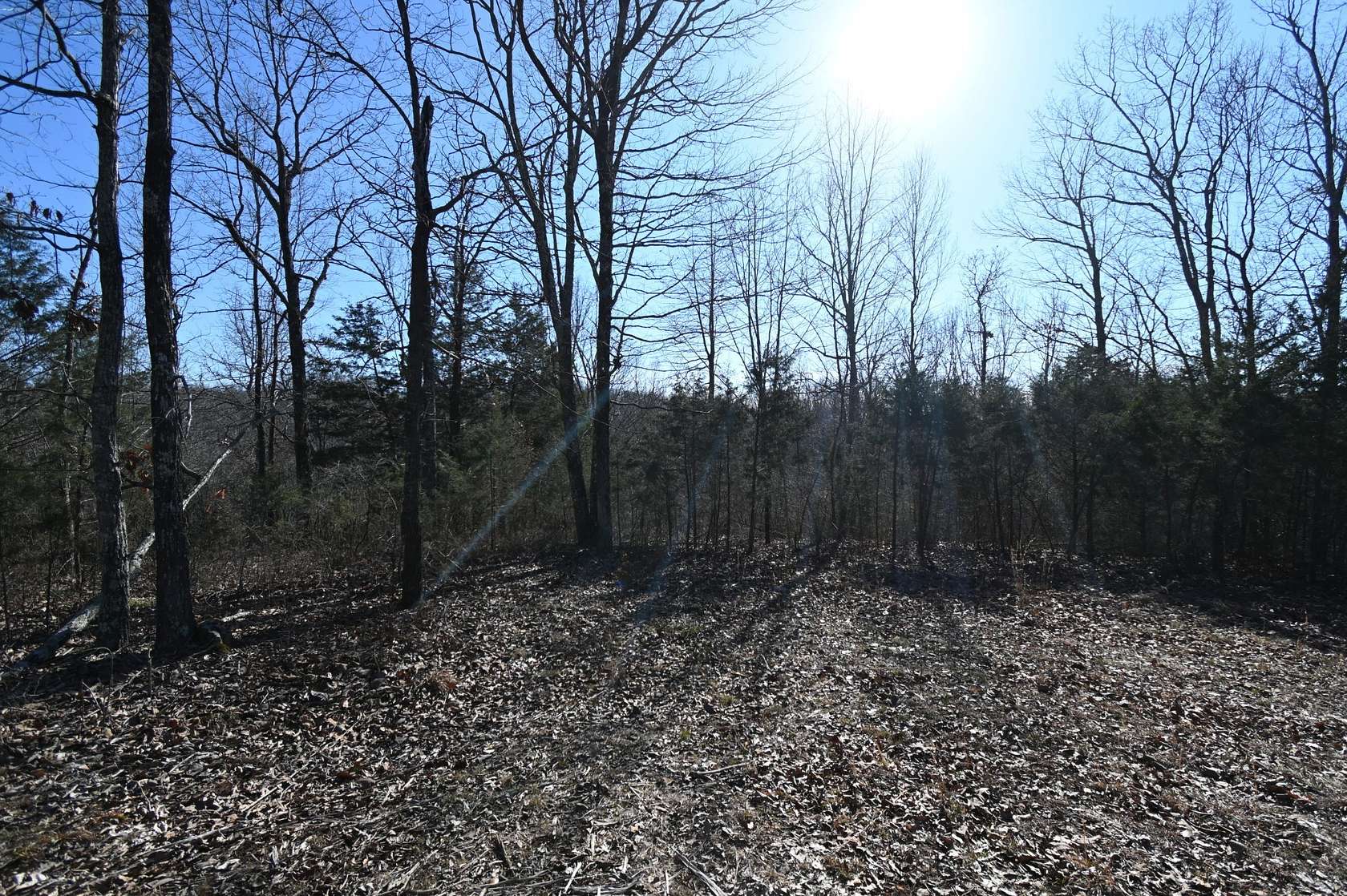 3.55 Acres of Residential Land for Sale in Linden, Tennessee