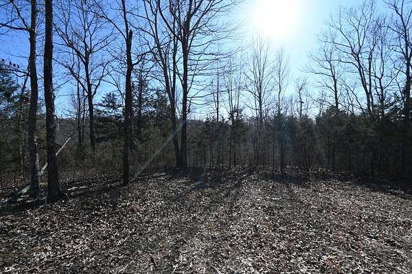 3.55 Acres of Residential Land for Sale in Linden, Tennessee