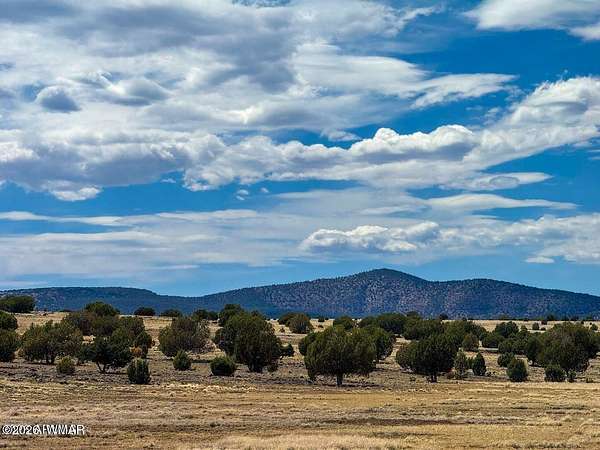 10 Acres of Residential Land for Sale in Seligman, Arizona