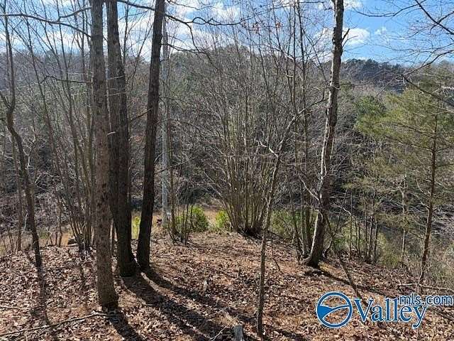 80 Acres of Recreational & Residential Land for Sale in Guntersville, Alabama