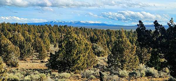 320 Acres of Land for Sale in Brothers, Oregon