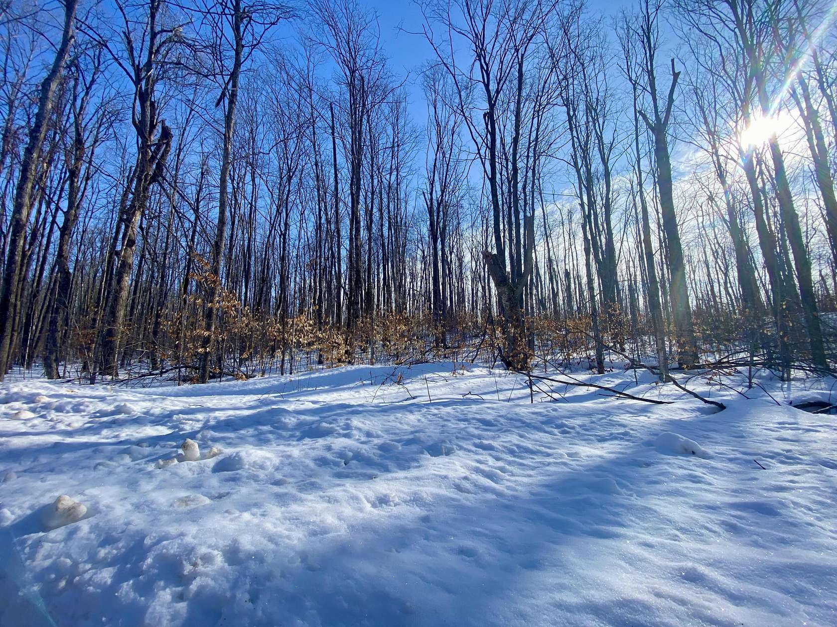 15.5 Acres of Recreational & Residential Land for Sale in Vanderbilt, Michigan