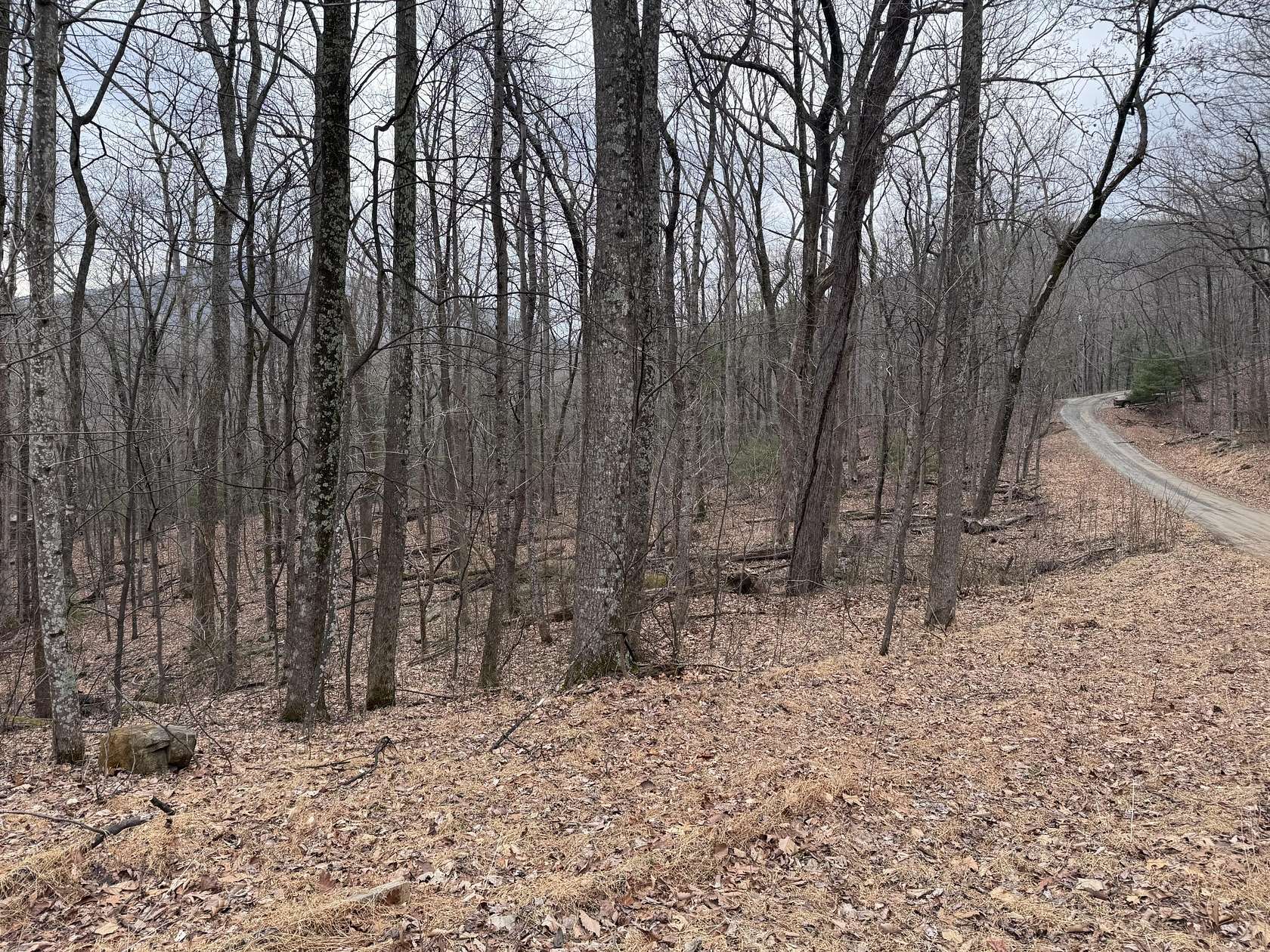 2.78 Acres of Residential Land for Sale in Big Island, Virginia