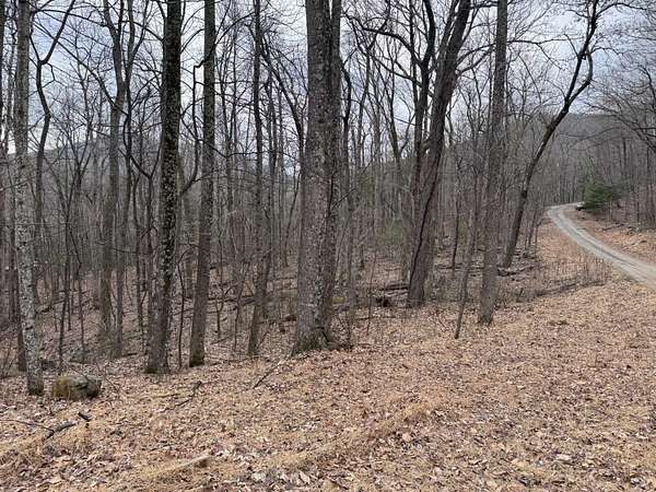 2.78 Acres of Residential Land for Sale in Big Island, Virginia