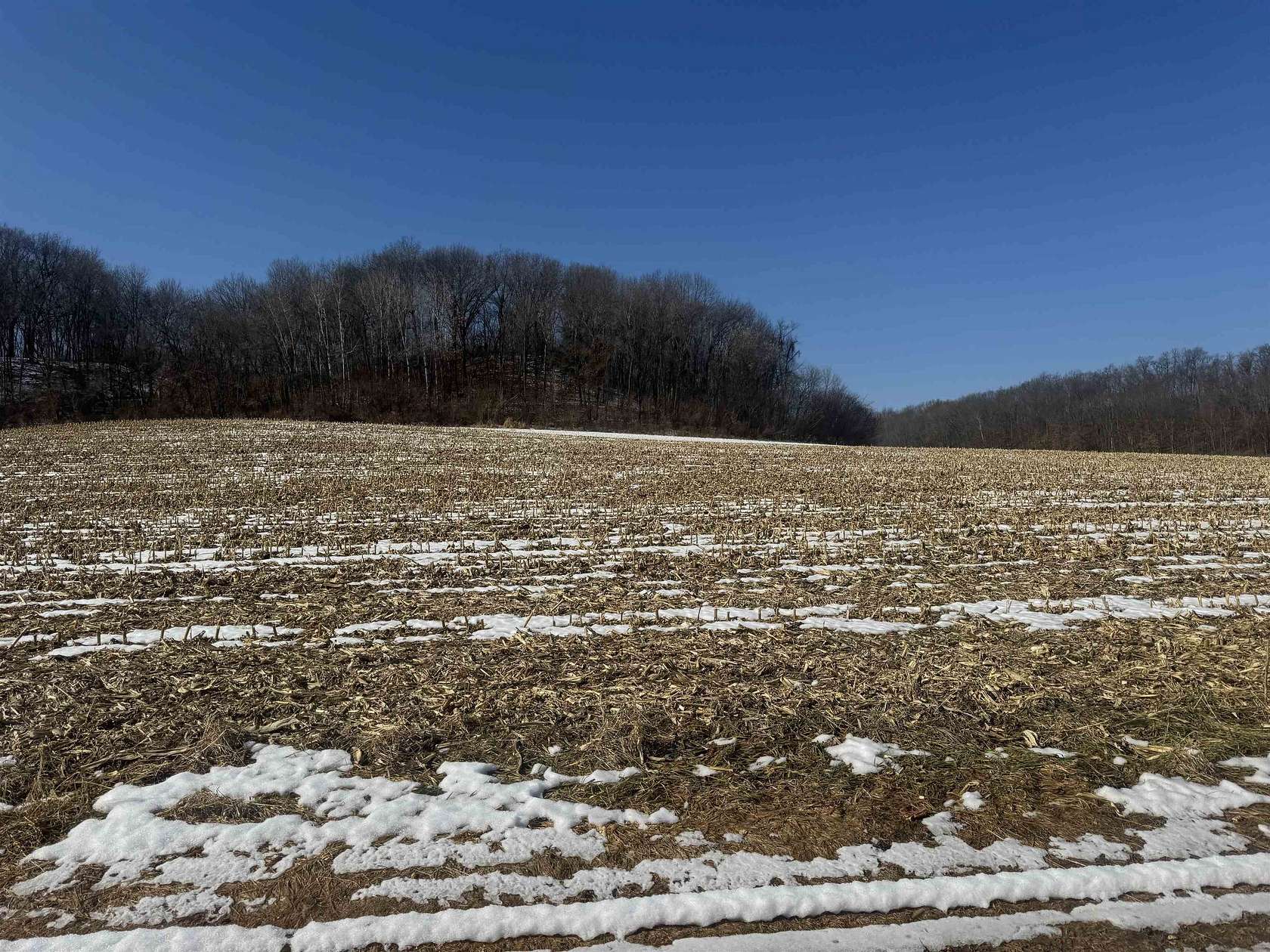 190 Acres of Land for Sale in Loganville, Wisconsin