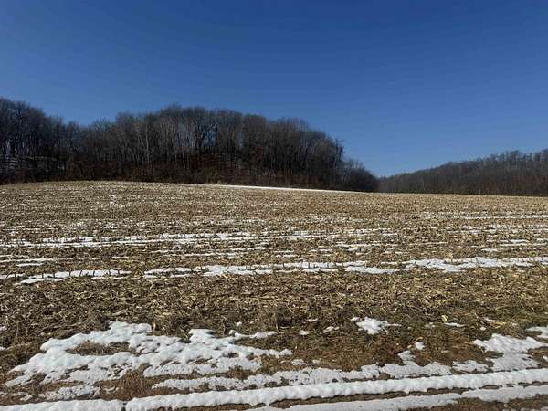 190 Acres of Land for Sale in Loganville, Wisconsin