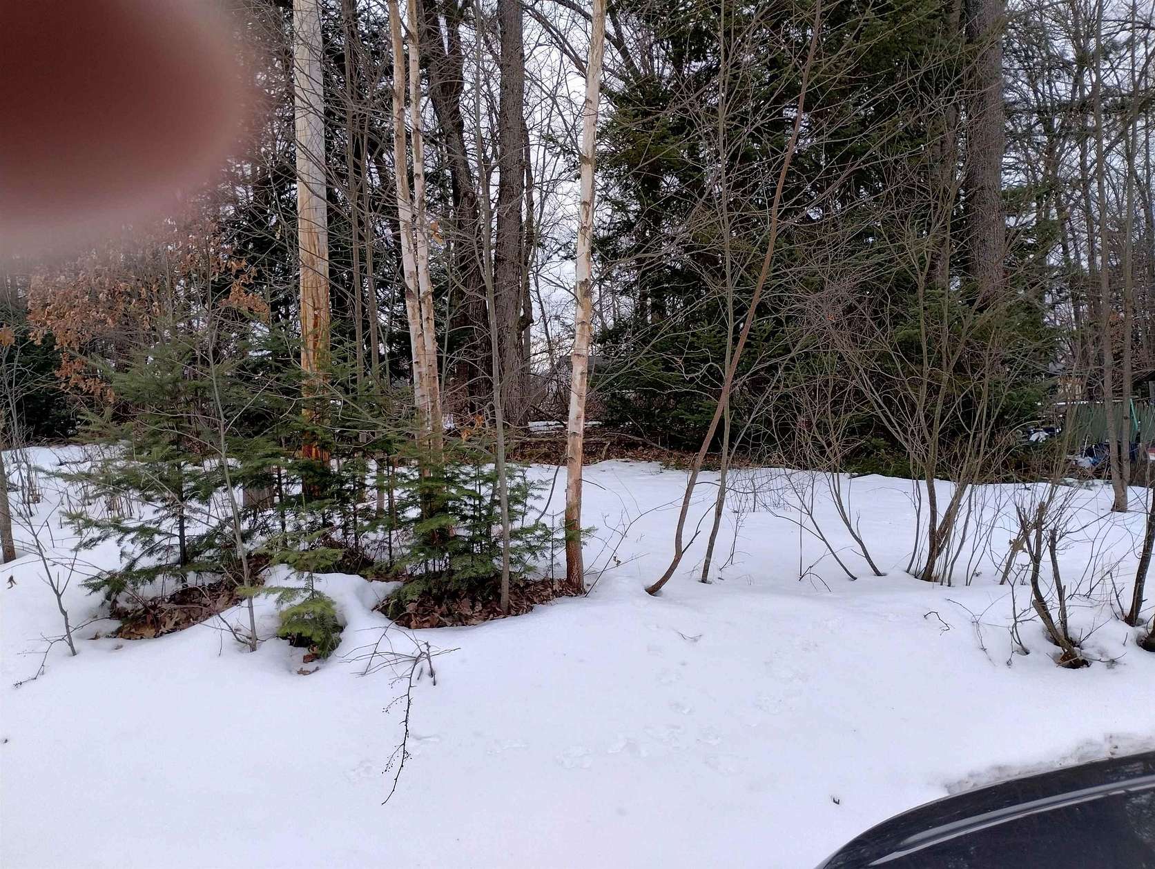 0.16 Acres of Residential Land for Sale in Harrison, Michigan