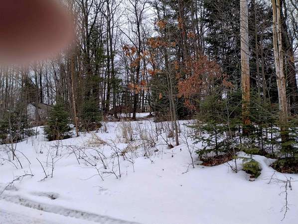 0.16 Acres of Residential Land for Sale in Harrison, Michigan