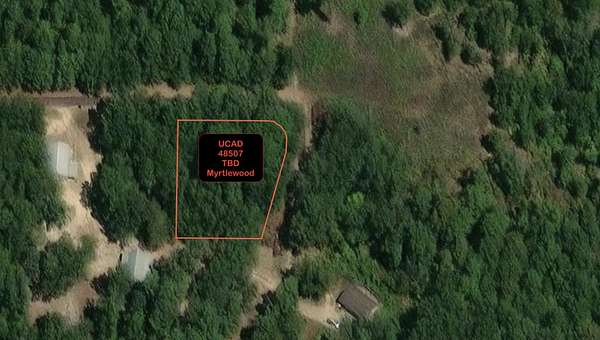 0.38 Acres of Residential Land for Sale in Gilmer, Texas